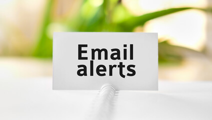 Email alerts - business seo concept text on a white notebook and green flowers