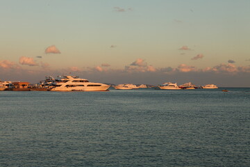 Obraz premium yachts anchored at Red sea on the sunset