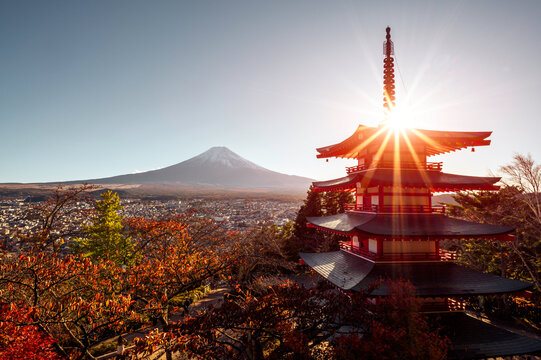 Japan. Pagoda in the city of Fujiyoshida. Buddhist pagoda next to fuji mountain. Red maple near the buddhist pagoda.
