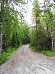 Obraz premium Nice way