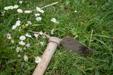 Hoe in the garden, gardening