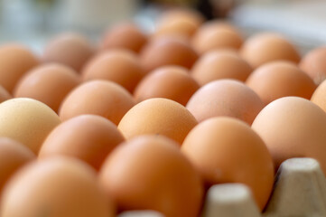 brown chicken eggs in a package with a blurry background