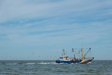 Blue fishing boat at sea with seagulls following