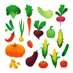 Set of vector vegetables. Harvest. Healthy food. Farm organic products.