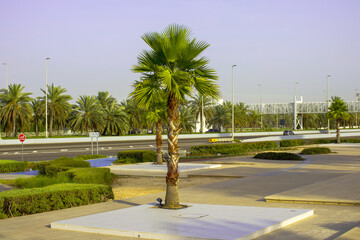 Obraz premium weather in united arab emirates after corona virus pandemic