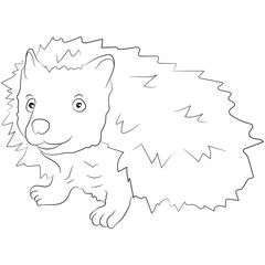 Vector graphics, funny hedgehog, doodle. Flat design.