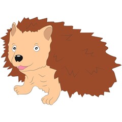 Vector graphics, funny hedgehog. Flat design.