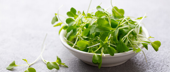 Micro herbs, watercress salad in white bowl. Grey background. Close up. Copy space. - obrazy, fototapety, plakaty