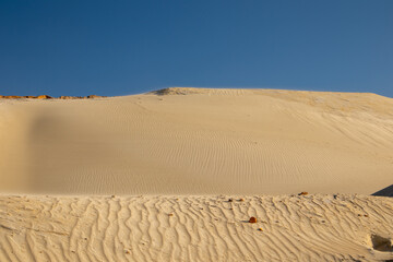 Desert landscape. Dunes of orange sand, sunny day, shadows on the sand, wind wrinkles on the sand, dry small bushes.