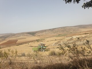 Harvesting machines are operating in the summer season in Tiaret Province