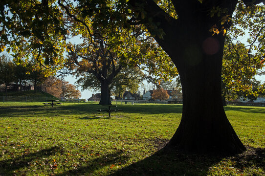 Trees And Small Round Picnic Tables In Nest Norwood Park In South London