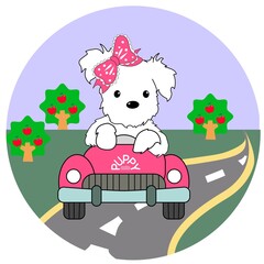 cute puppy car driver vector illustration