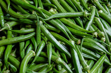 okra lady fingers close up feira de são joaquim lower city salvador baixa brazil
