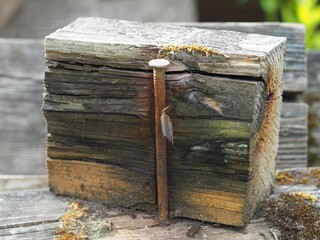 Kaputt - entzweiter Holzbalken mit rostigem Nagel 