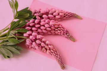 Postcard with blooming lupine branches on a pastel background, close-up, top view, place for the inscription.