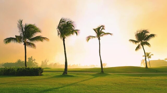 Golf course in the tropical island, beautiful sunset with palm trees silhouettes video