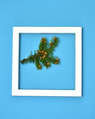 Beautiful Christmas tree branch with small cones, on a blue background.