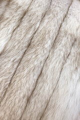 Close-up of Arctic fox fur coat. 