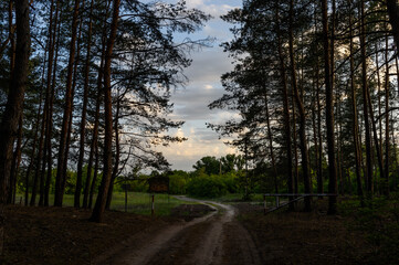 Fototapeta premium spring sunset near the city20