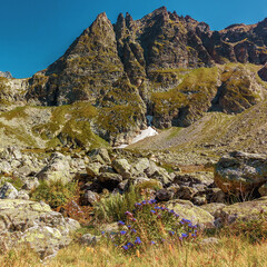 Scenic rugged mountain scenery with cloudless skies. Wildlife. A paradise for climbers. Daylight time.