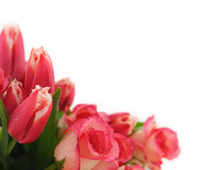 Corner oriented bouquet of pink fringed tulips and pink roses with water drops.