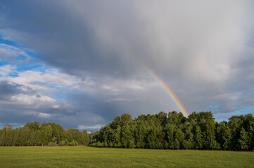 Rainbow over a green field and forest.