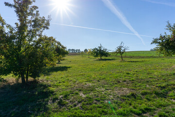 Feld Panorama
