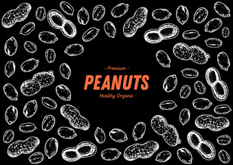 Peanuts hand drawn sketch. Nuts vector illustration. Organic healthy food. Great for packaging design. Engraved style. Black and white color.