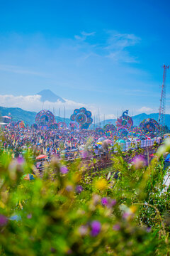 campos de barriletes