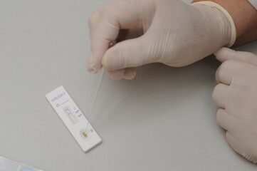 A medical worker conducts a rapid test for coronavirus COVID-19.  Coronavirus blood test real.