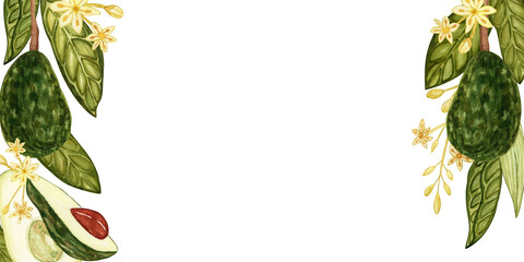 Naklejka premium Avocado watercolor. Design template for postcardson on white background. Botanical illustrations. Tropical plant.