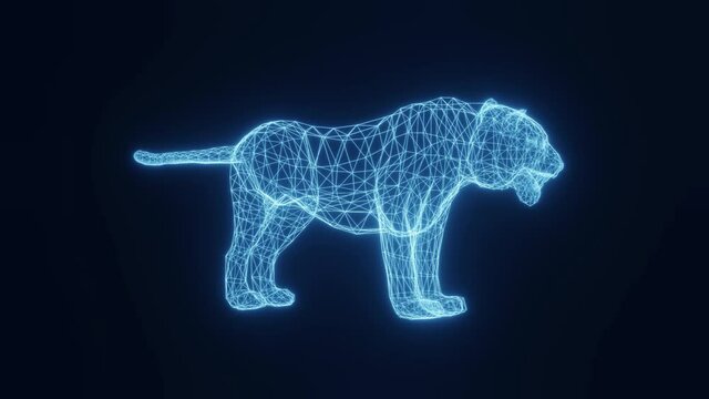 Animation of a tiger in the form of glowing neon stripes from a three-dimensional grid. Rotate, pan, and zoom the object in space. 3d rendering.