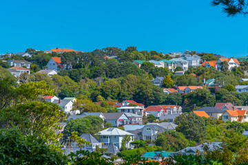 Residential houses in Wellington, New Zealand