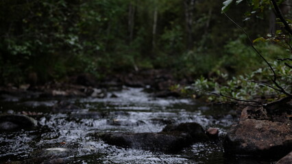 Waterfall in the forest