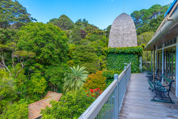 Wellington Botanic Garden Treehouse in New Zealand