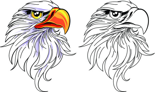 Eagle Head Clip Art Images – Browse 4,530 Stock Photos, Vectors, and Video