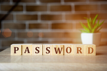PASSWORD word made with building blocks on a light background