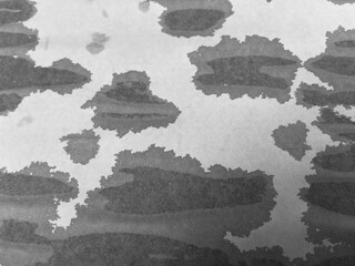 Black and white texture background