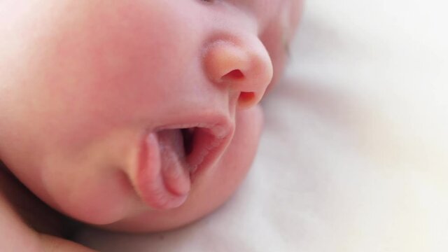 close-up macro shot baby mouth newborn lips