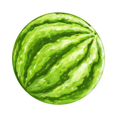 Fototapeta na wymiar cartoon watermelon on white background - illustration