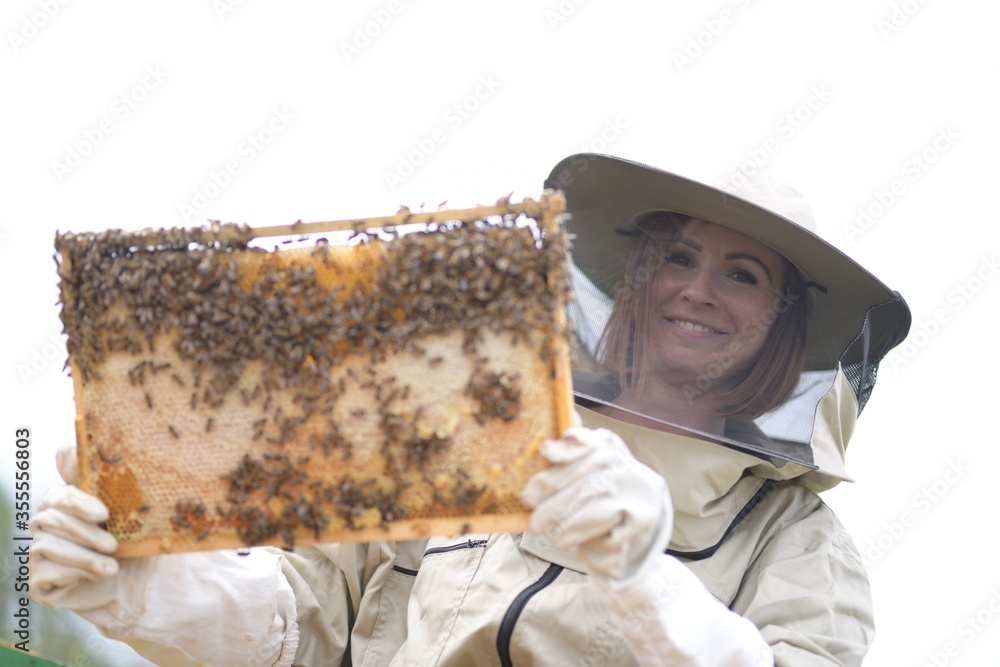 Wall mural Beekeeper working collect honey. Beekeeping concept.