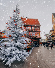 snow covered house in Colmar