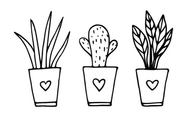 vector set of pots with house plants. elements of a cozy home. handmade illustration