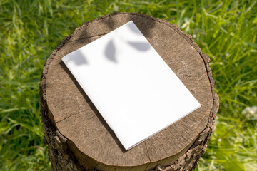 Blank white portrait magazine on a stump stage and grass blurred background behind.