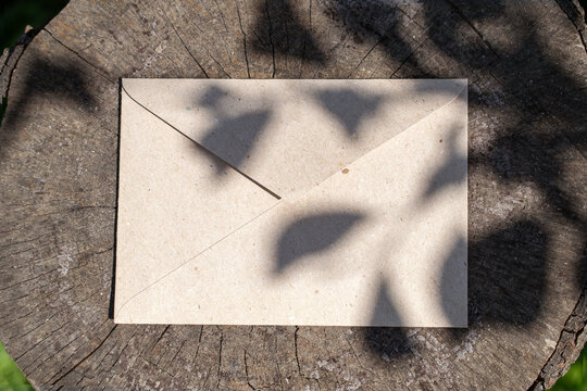 Empty caft paper envelope on empty stump stage with floral shadow.