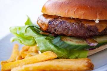 Large juicy burger and delicious crunchy french fries on a white plate. Extreme close-up image.