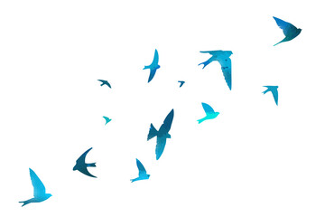Blue swallows. Flying flock of birds. Vector illustration