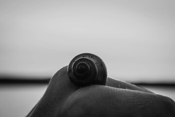 close up of a hand holding a pen on white background