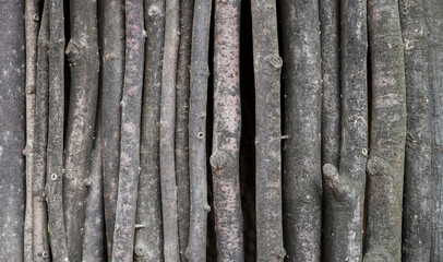 Fototapeta premium Arranged tree branches. Wood texture background with natural color