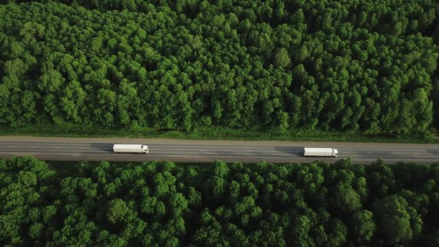 Two semi trucks with white trailer driving / traveling on the asphalt straight road at dense flat forest, highway top view follow vehicle aerial footage at summer sunset / Freeway truck traffic